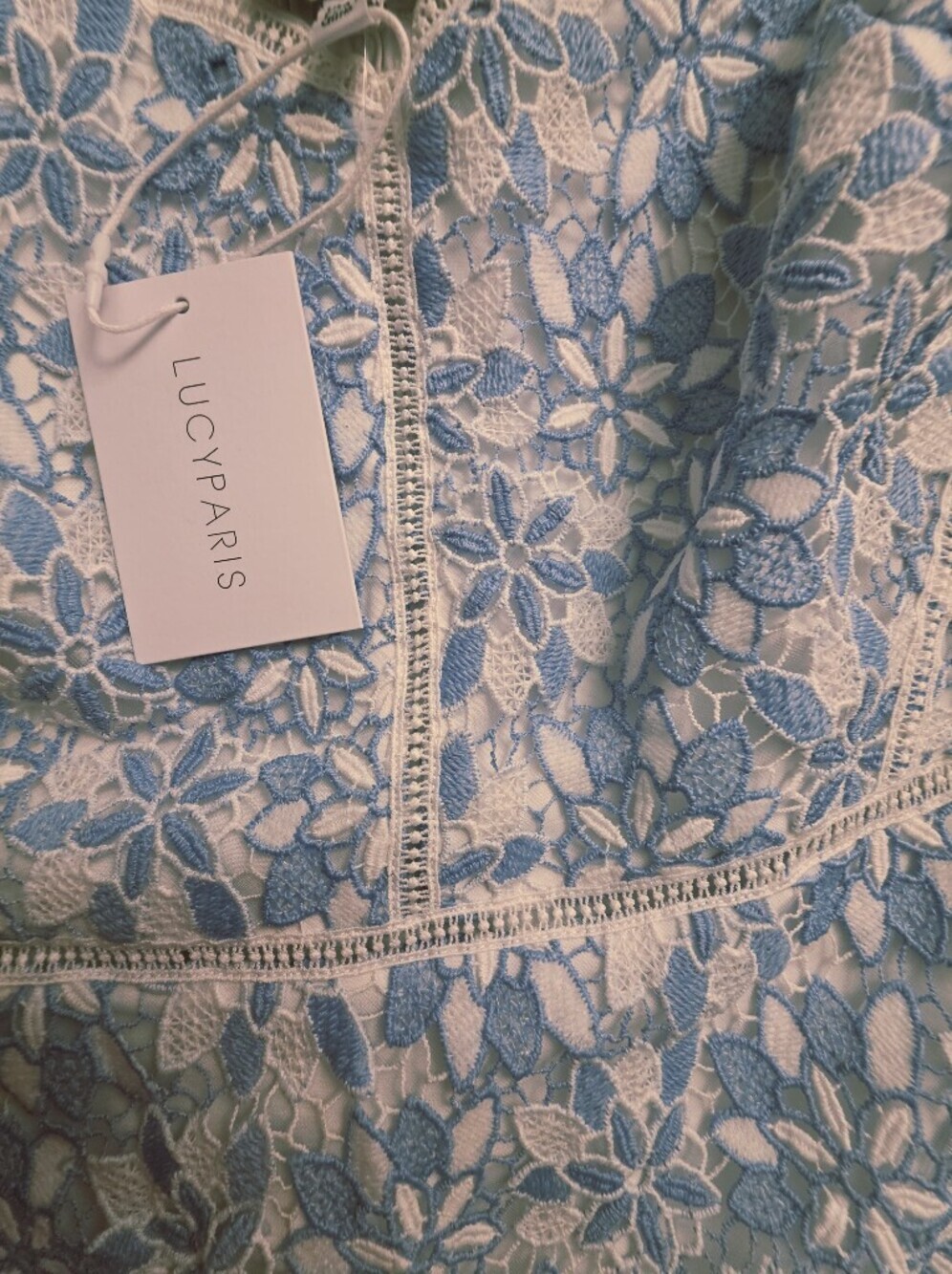 Lucy Paris Light Blue Lace Puff-Sleeve Mini Dress - Picture 9 of 12